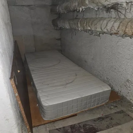 Geniusjenomsklep オストラヴァ